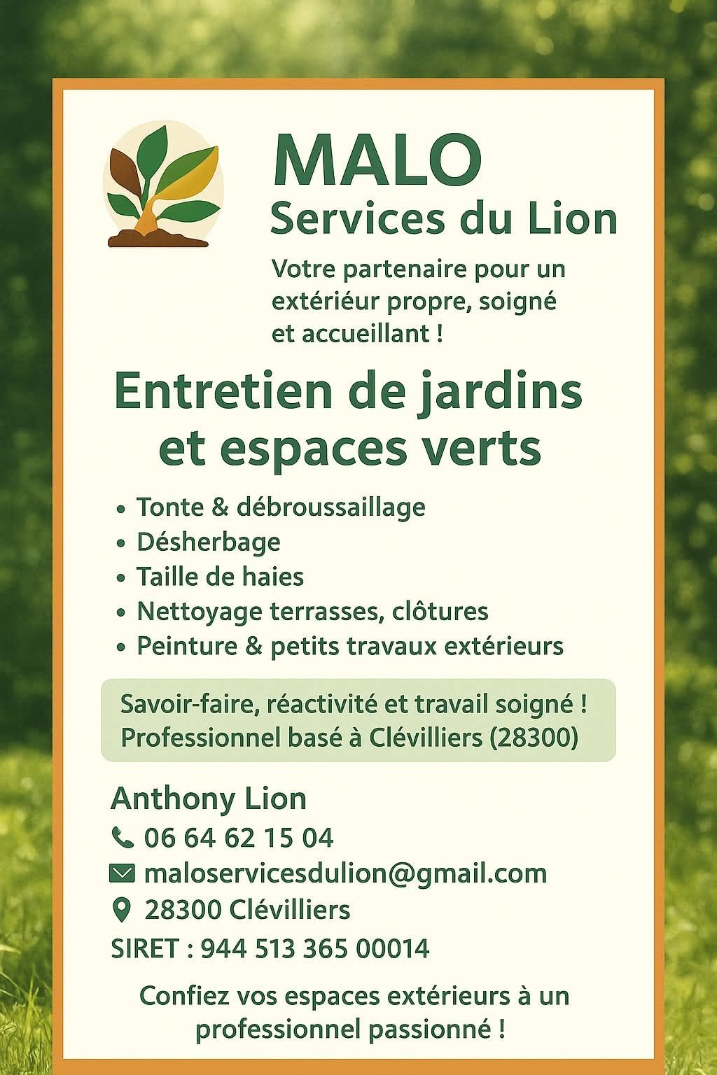 MALO Services du Lion – Anthony Lion